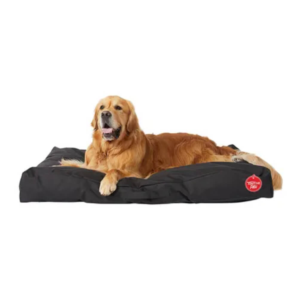 Xtra Durable Water Resistant Dog Lounger - Small